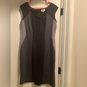 Eci woman dress NWOT